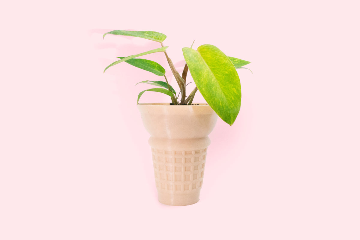 ice cream cone plant pot Ice Cream Cone Planter