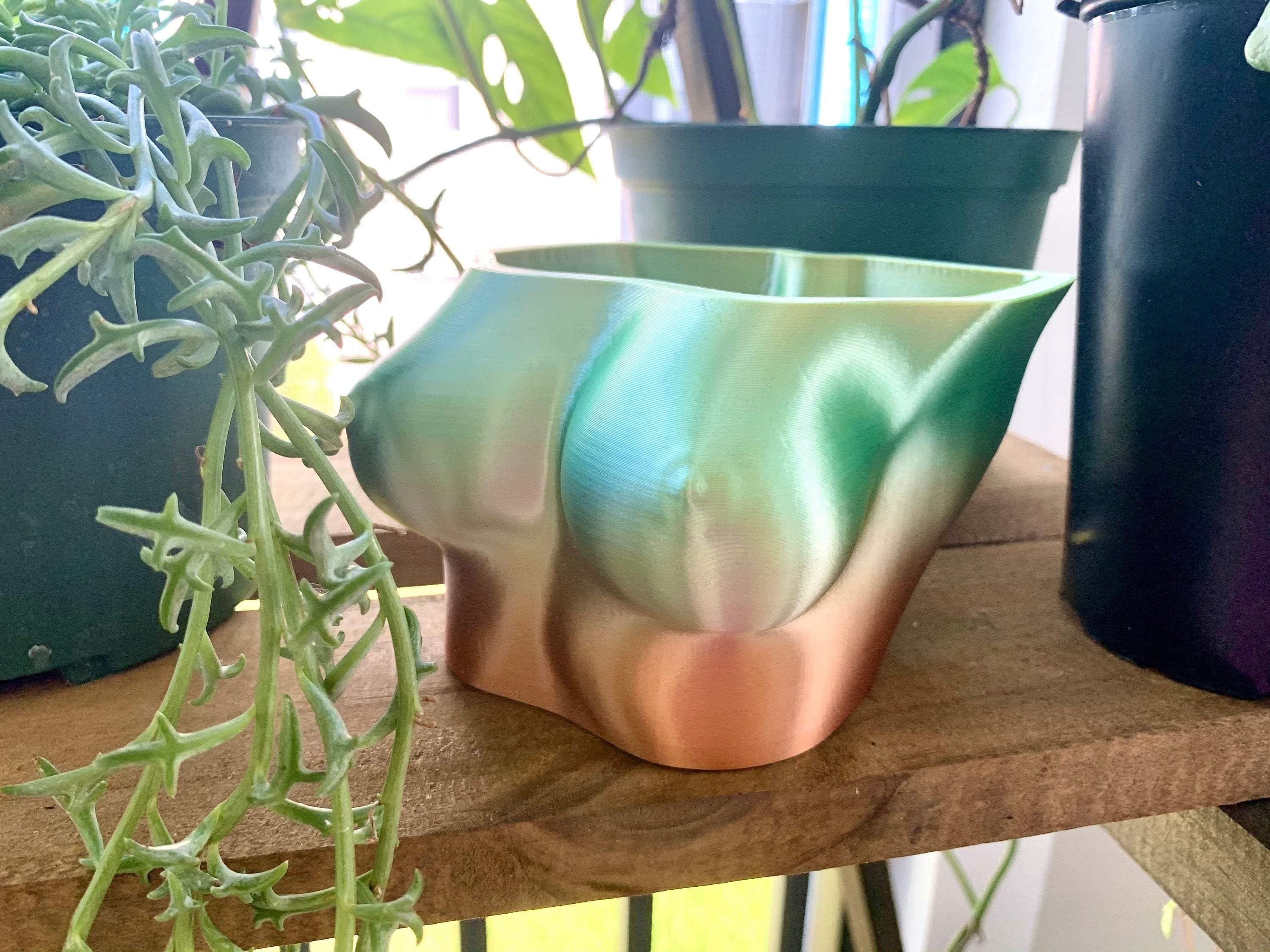 succulent boobs Boob Planter