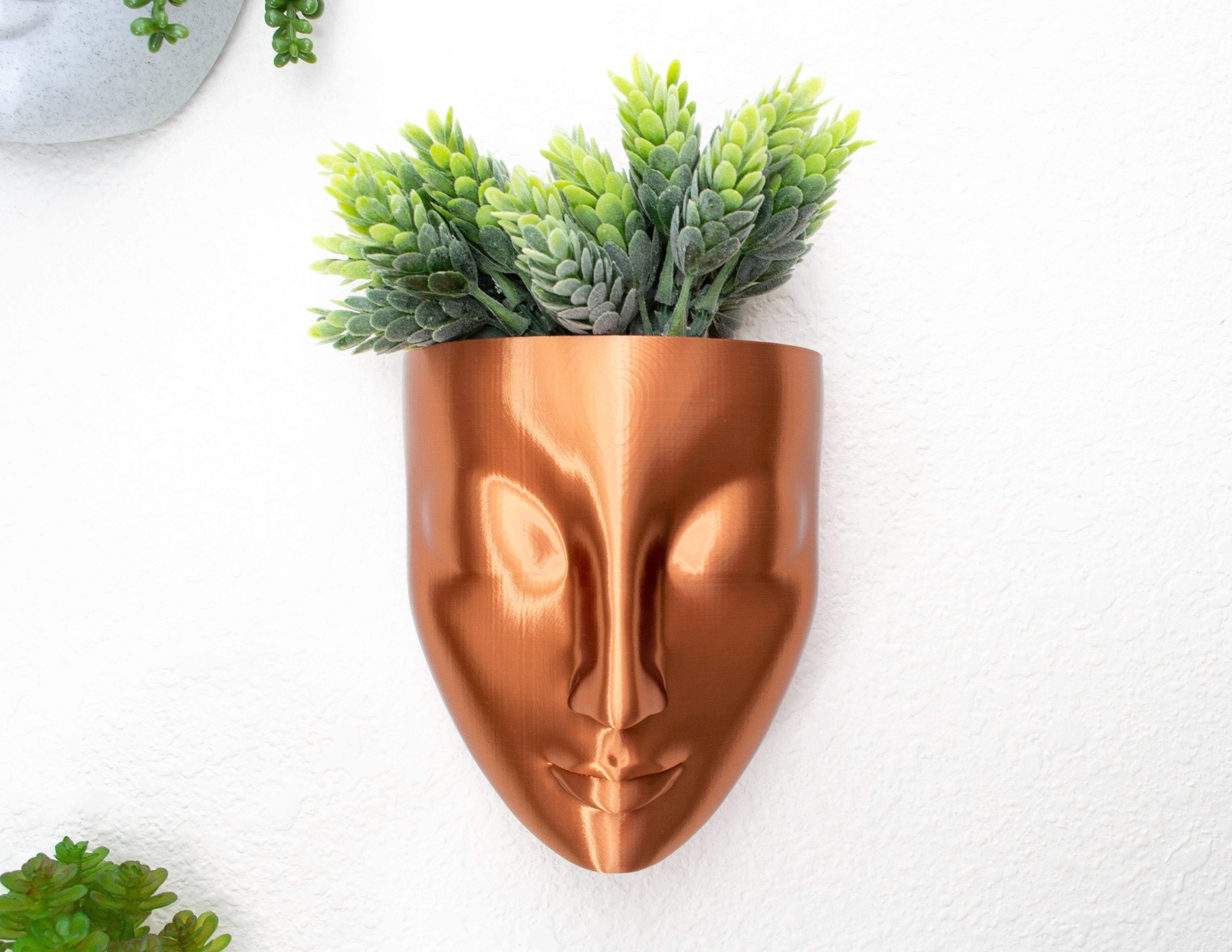 hanging planter with face Face Hanging Wall Planter Red / 7 in