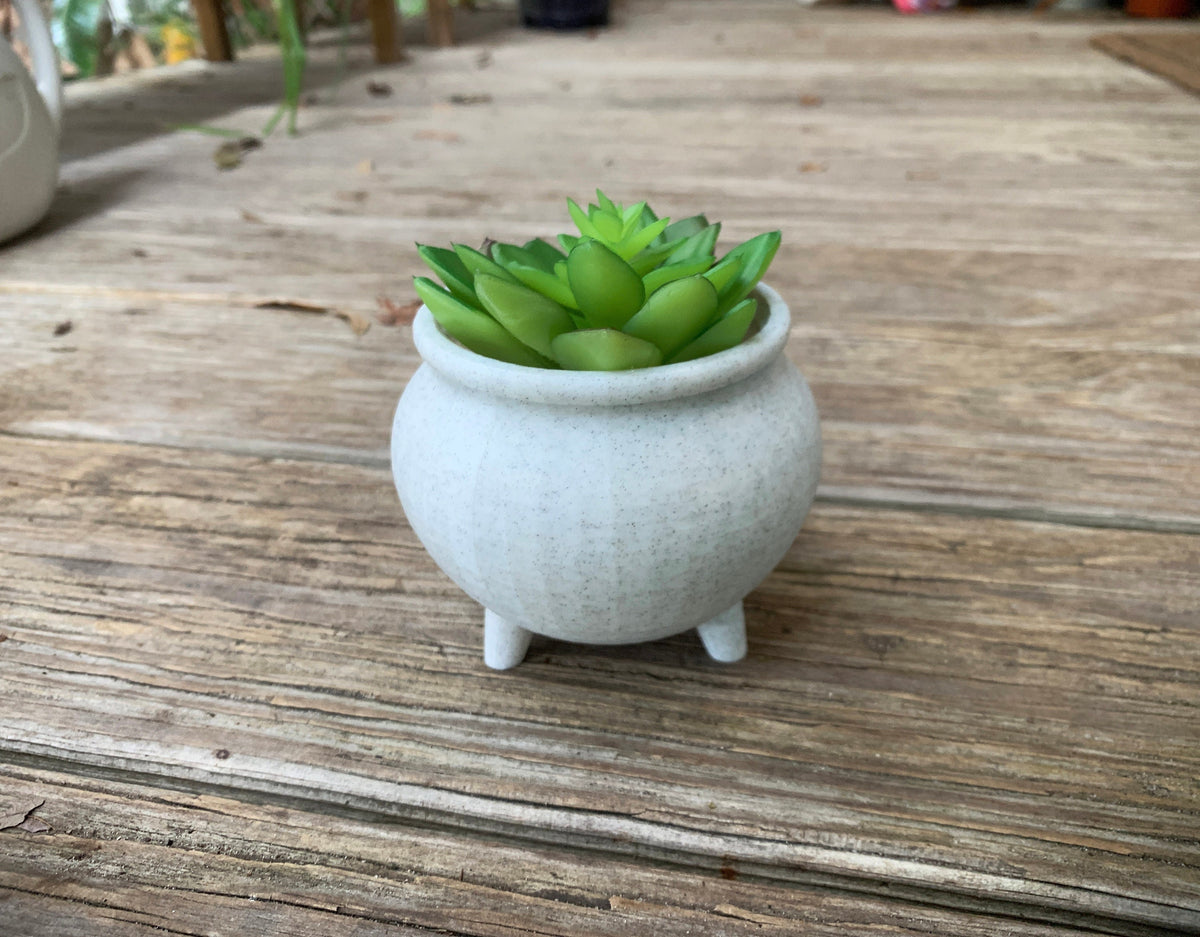 cauldron succulent Cauldron Planter