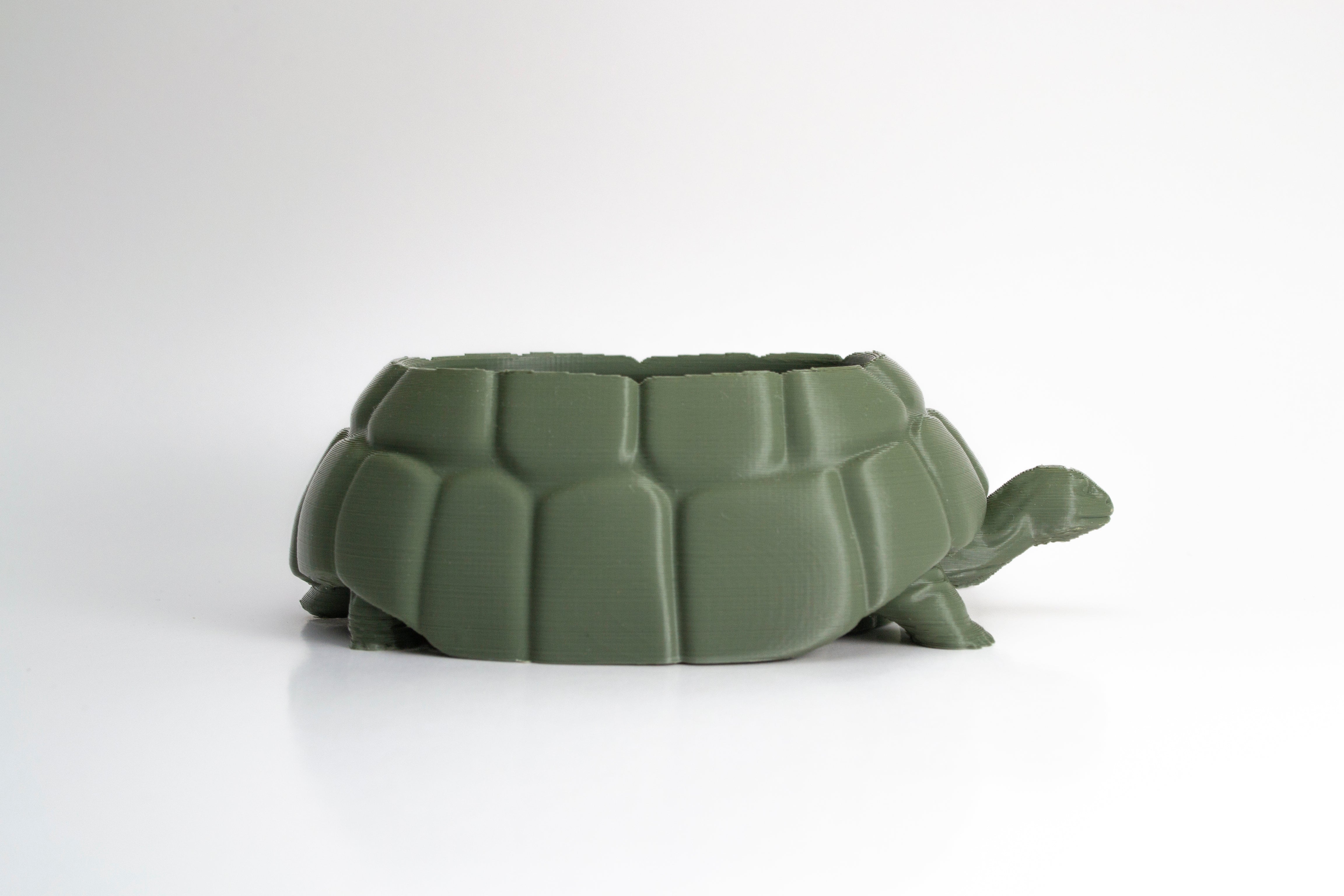 Tortoise/Turtle Planter