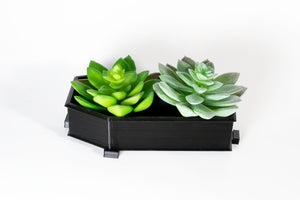 coffin planter with succulents