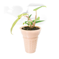 Ice Cream Cone Planter