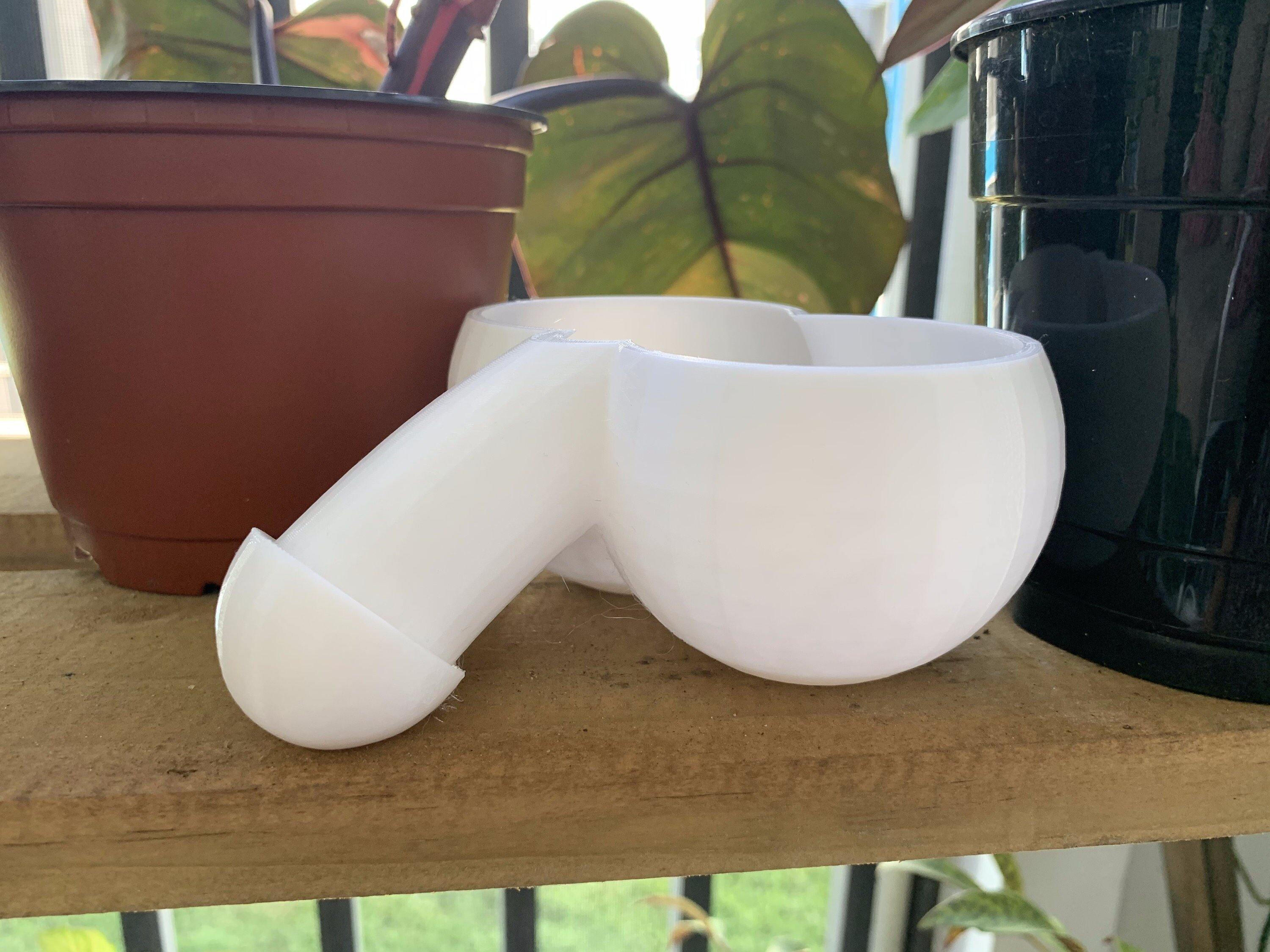 Penis Pot Planter | Ideal for Houseplants, Succulents | Made from Sustainable 3D Printed PLA Plastic