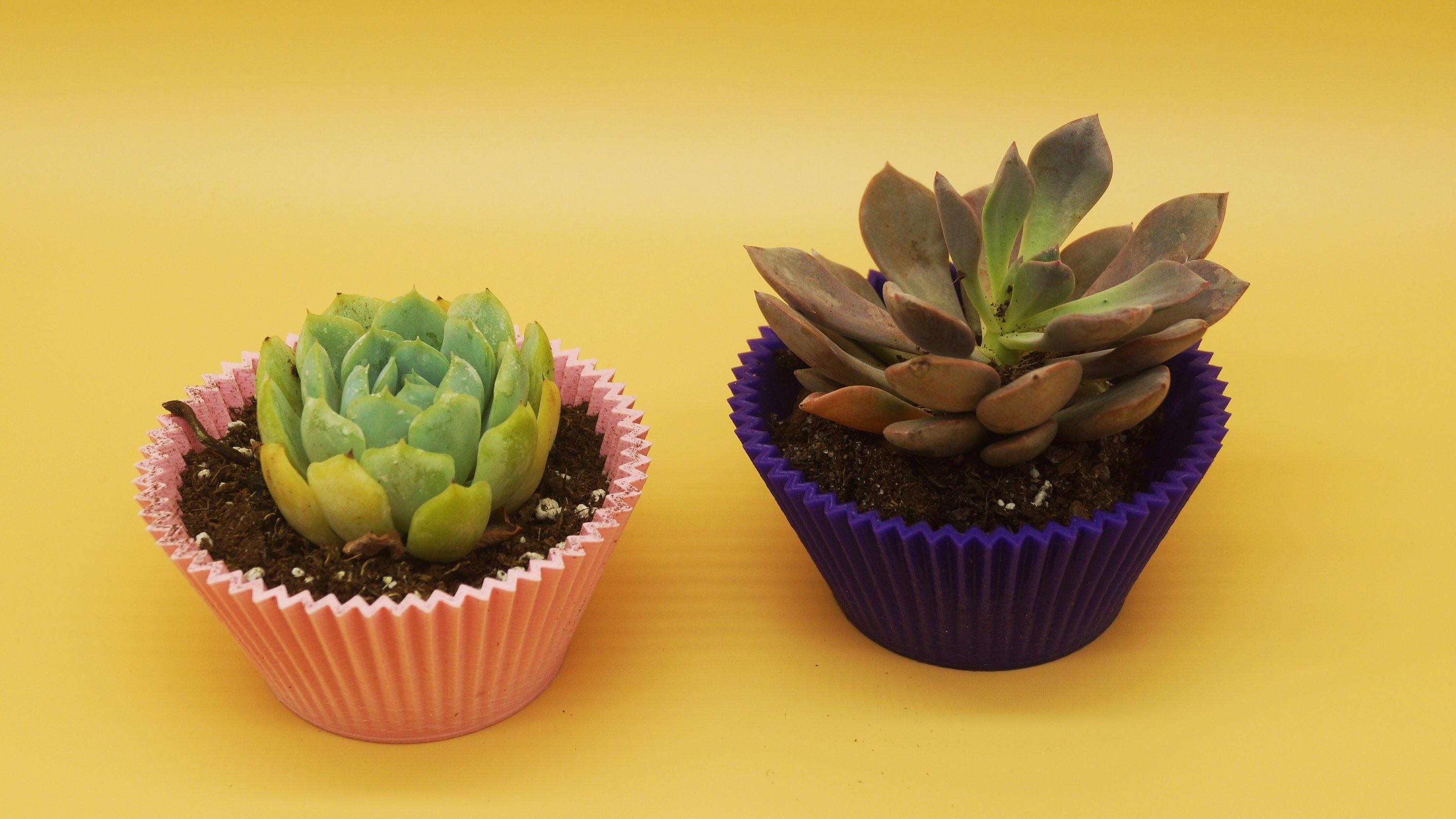 pink and purple cupcake planter with succulents