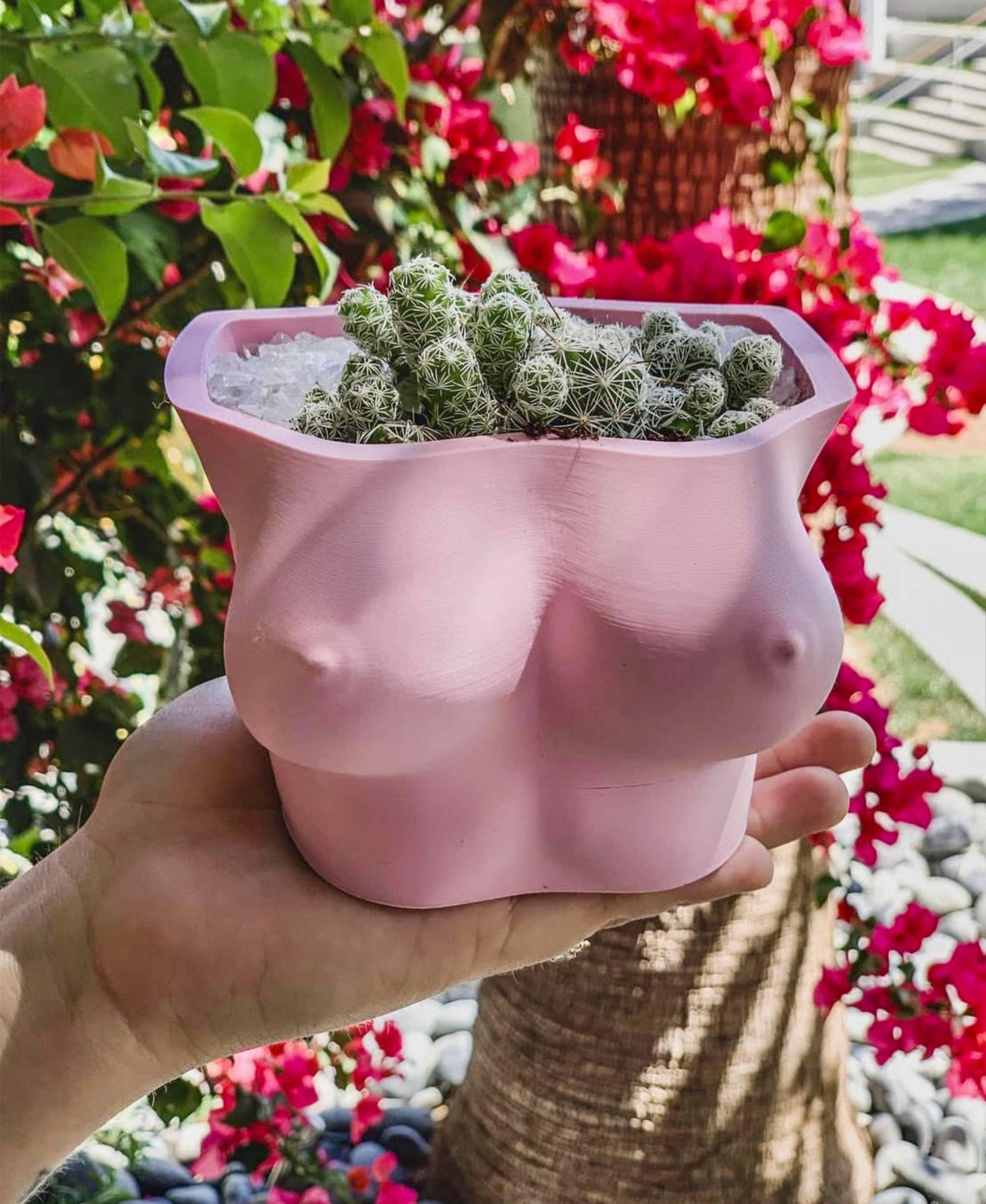 pink boob planter