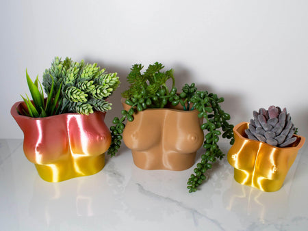 Boob Planter