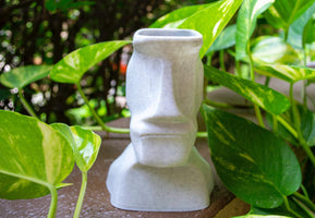 moai easter island head planter with pothos behind it