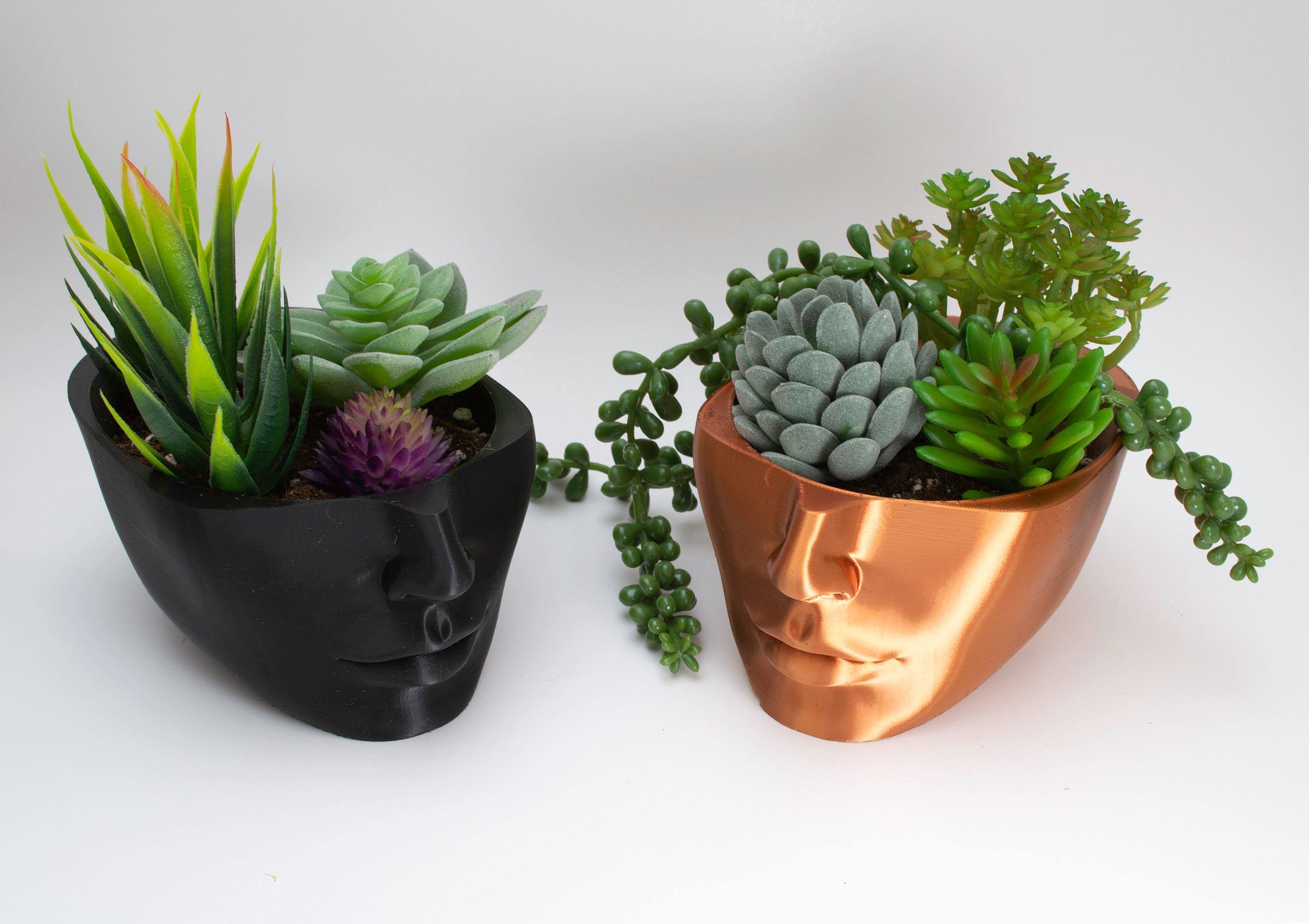 black and copper head planter with succulents