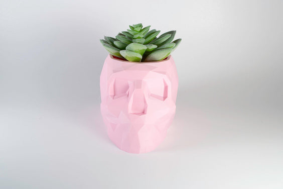 pink skull planter