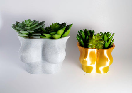 Boob Planter