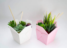pink and white chinese takeout planter with succulent and chopsticks