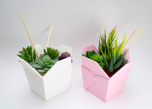 pink and white chinese takeout planter with succulent and chopsticks