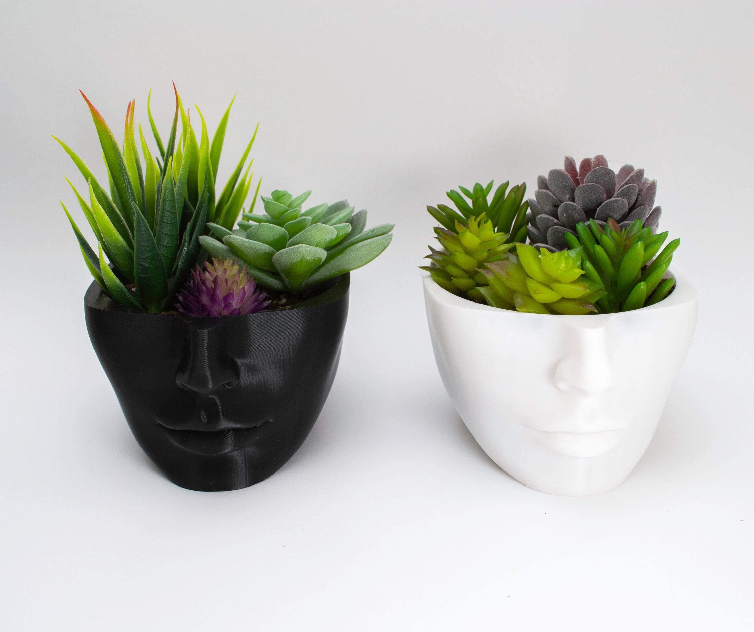 black and white head planter with succulents