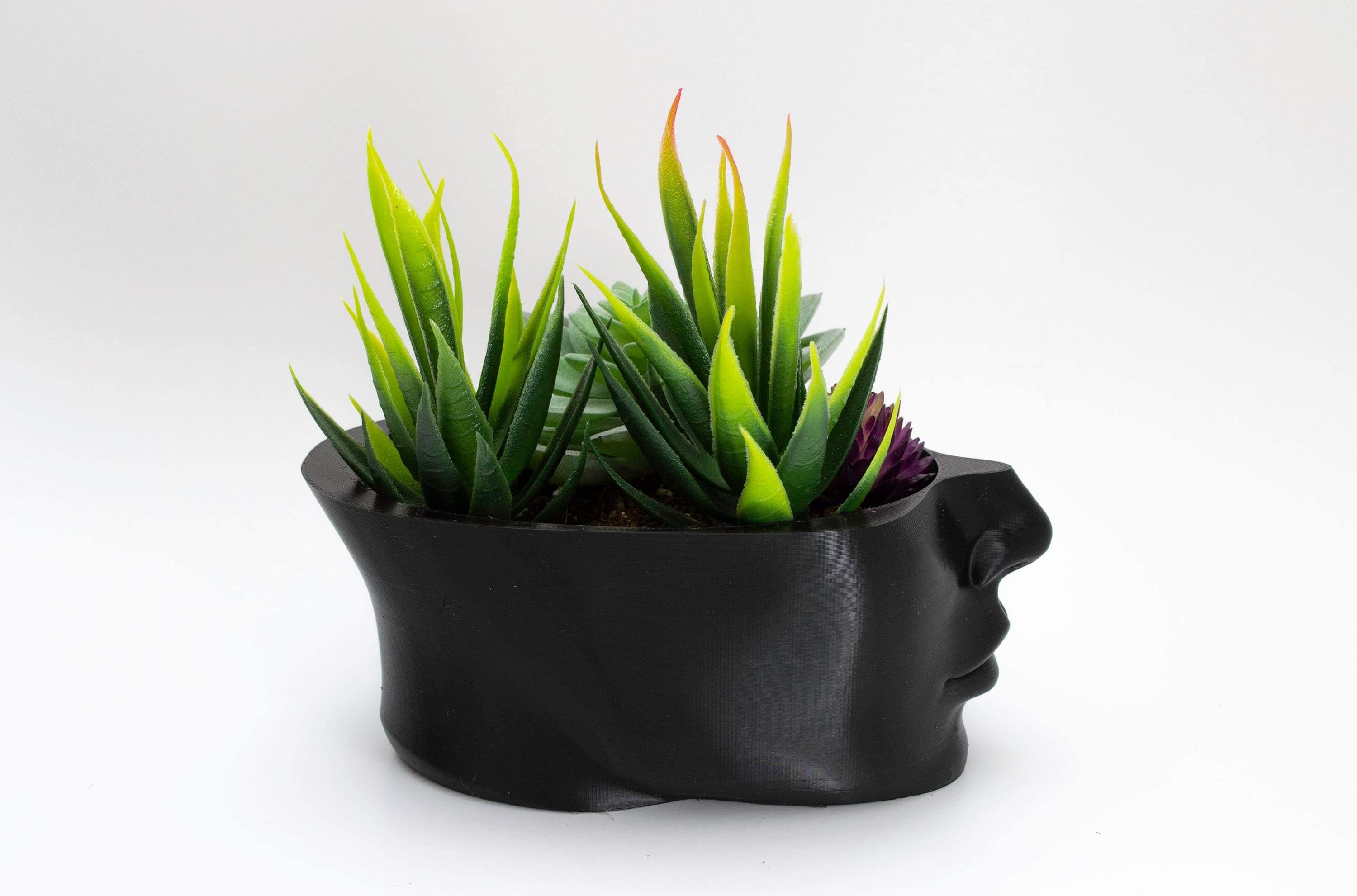 black head planter with succulents