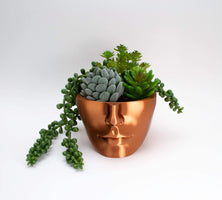 copper head planter with succulents