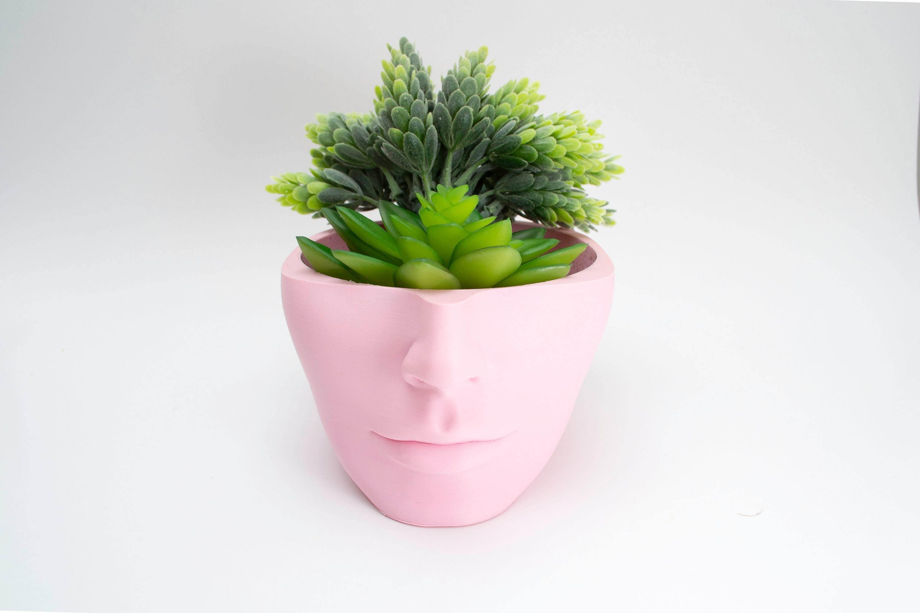 pink planter with succulent