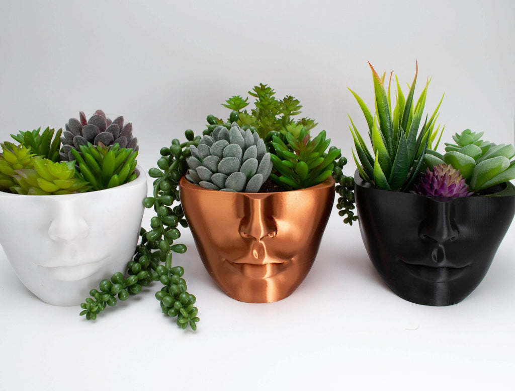 white copper and black head planters with succulents